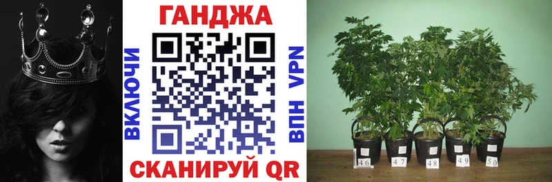 Каннабис Amnesia  МЕГА tor  Энем 